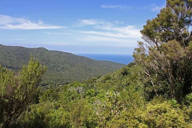 248 Rosalie Bay Road Great Barrier Island (Aotea Island)_3