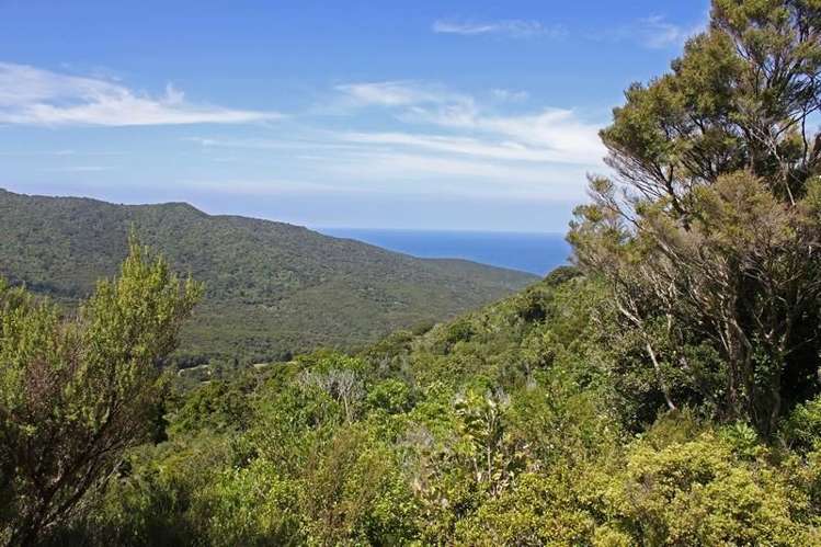 248 Rosalie Bay Road Great Barrier Island (Aotea Island)_3