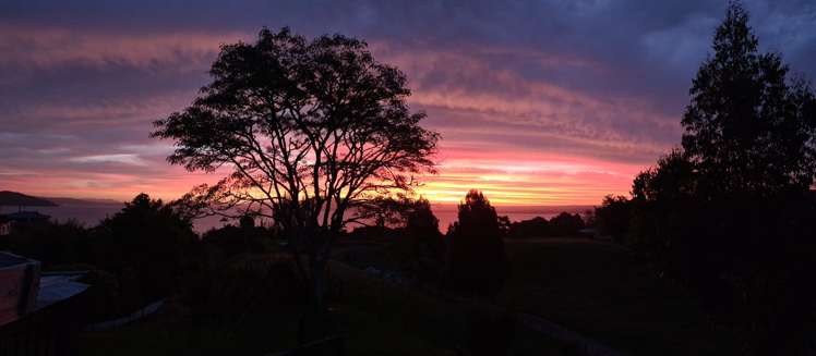 17b Unsworth Road Hamurana_29