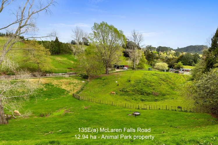 135E(a) McLaren Falls Road Omanawa_7