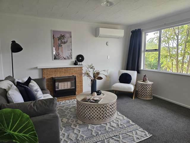 21 Elizabeth Street Levin_1