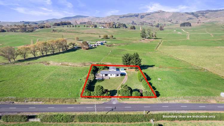 273 Chepmell Road Morrinsville_3