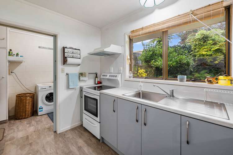 9a Galbraith Street Springfield_5