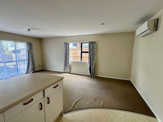 11A Robert Street Ellerslie_4