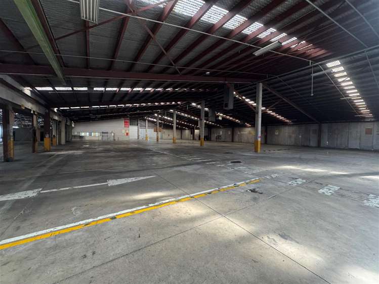 11 McDonald Street Morningside_7