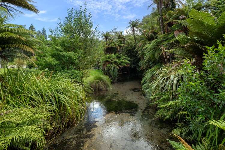 165 Fairy Springs Road Fairy Springs_7