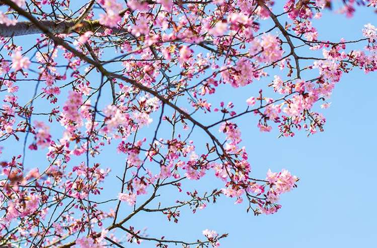 5a Watts Road Fernhill/Sunshine Bay_0