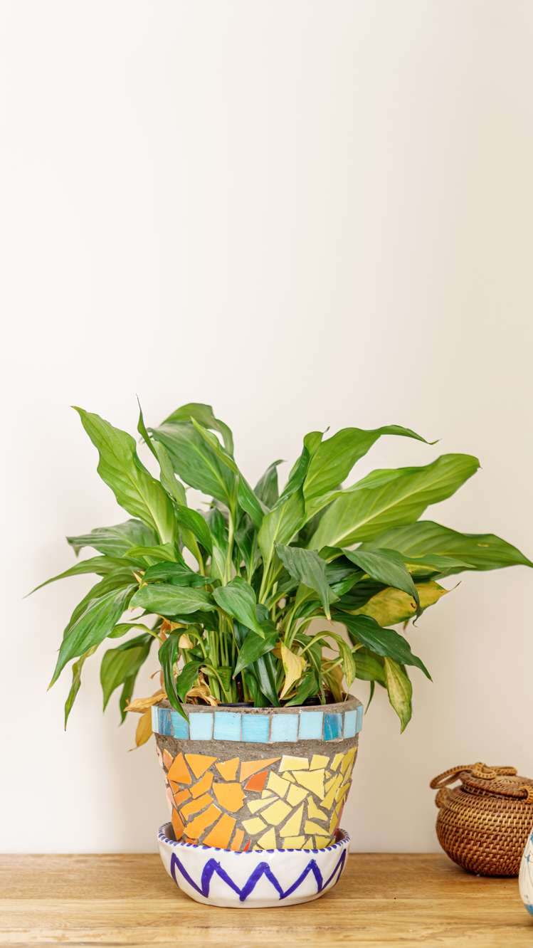 27 Millstream Drive Lincoln_17