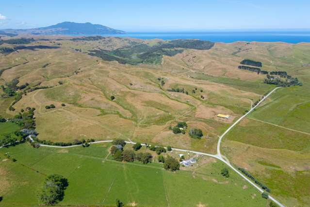 603 Te Akau South Road Te Akau_4