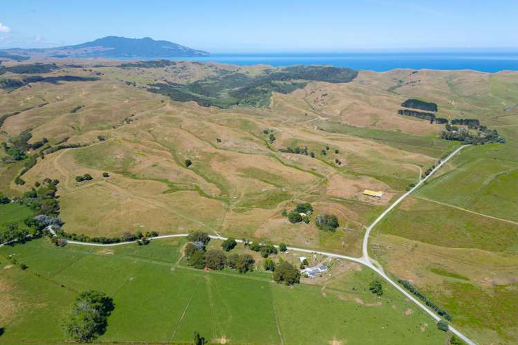 603 Te Akau South Road Te Akau_4