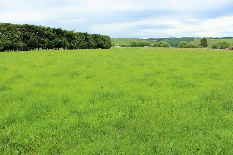 105 Lynwood Road New Lynn_10