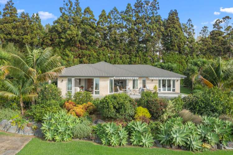 73 Avocado Lane Mangawhai_33