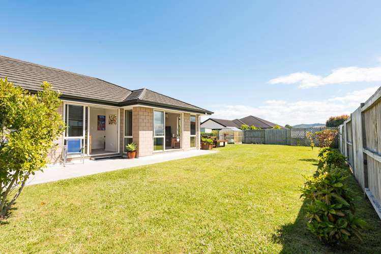 4 Captains Loop Haruru_23