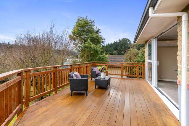 105 Hocken Street Kenmure_4