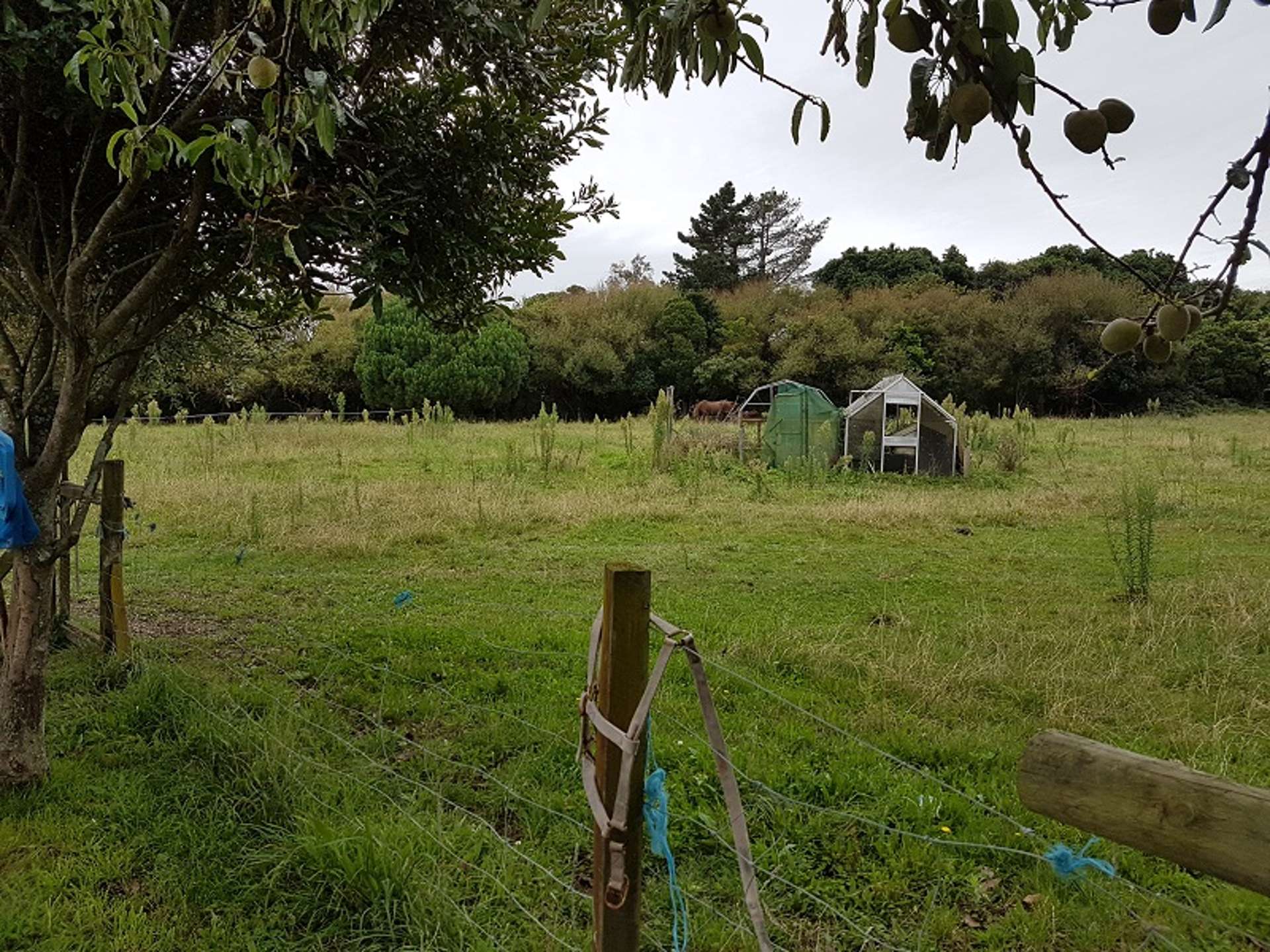 123 Riverbank Road Extension Otaki_0