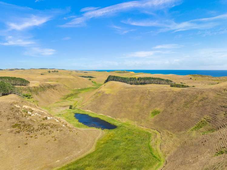 1415 Babylon Coast Road Dargaville_25