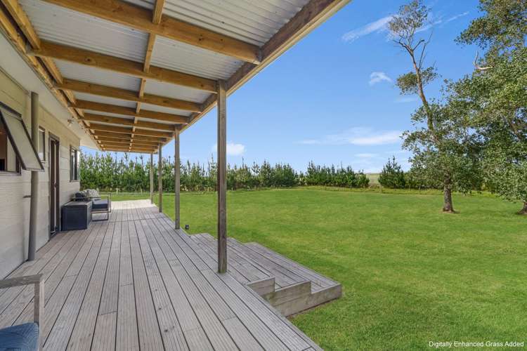 259 Redhill Cemetery Road Te Kopuru_15