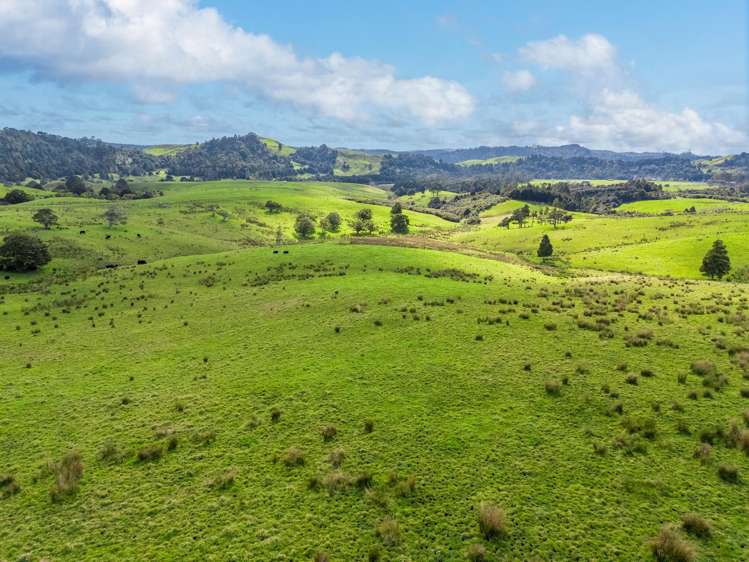 325b Haruru Road Wainui_18