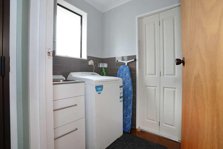 12 Hammond Street Bulls_11