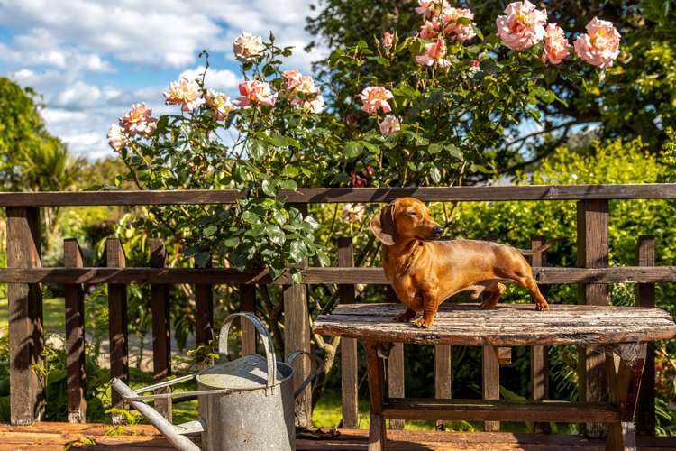 43 Tahatai Road Oneroa_32