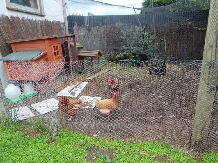 11 Princes Street Levin_11