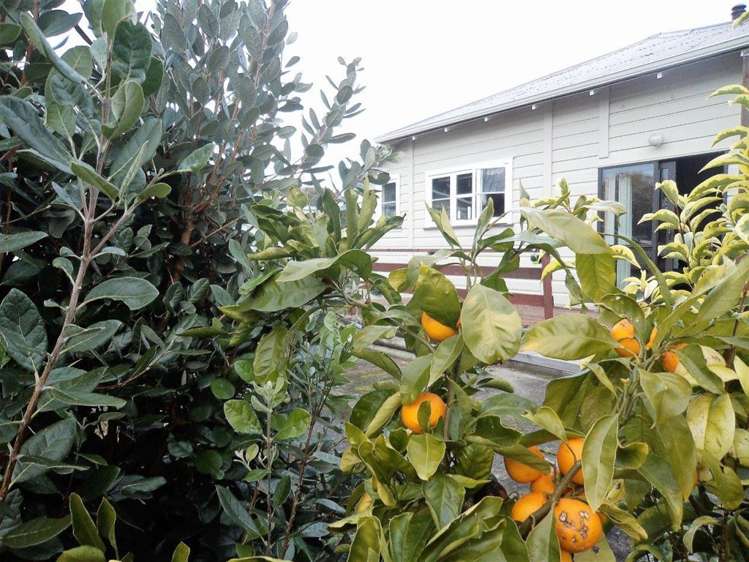 140 Upper Plain Road Masterton_9