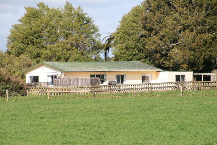 2403 Mountain Road Tariki_19