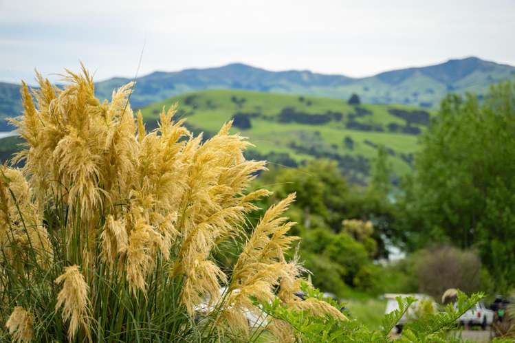 41 Lighthouse Road Akaroa_8