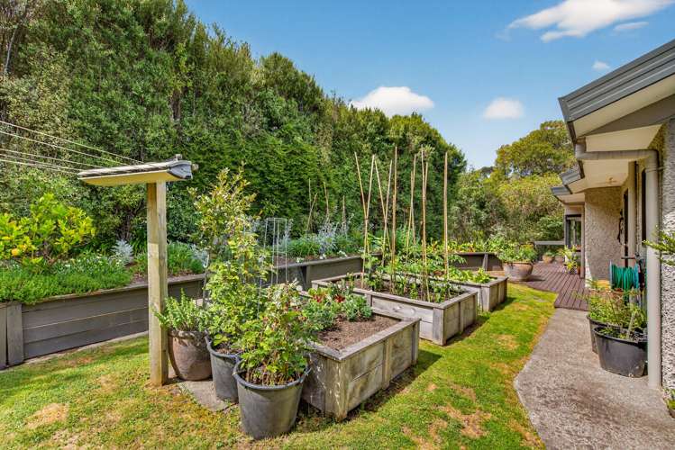 83 Joll Road Havelock North_16