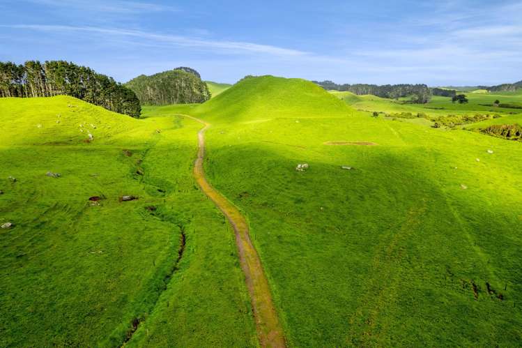 677 Newall Road Newall_18