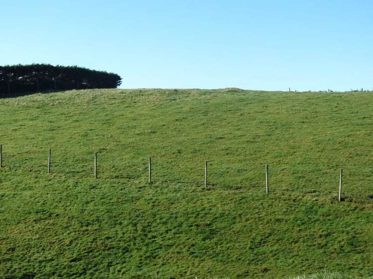 31 Hamlet Street Riverton_6