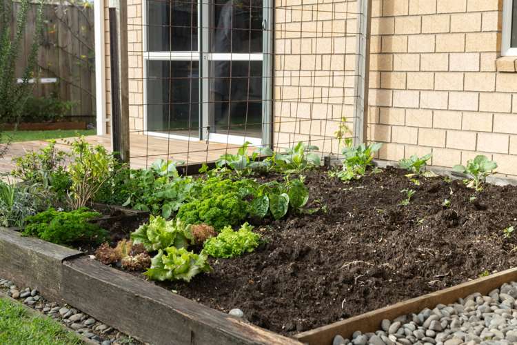 6/100 Dp Millers Road Brookfield_14