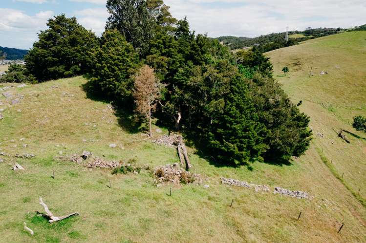 48 Bedlington Street Whau Valley_42