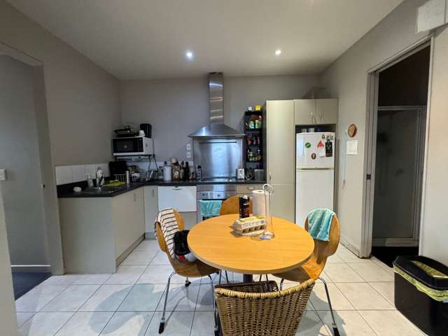 Beautiful 3  bedroom apartment in Mt Vic