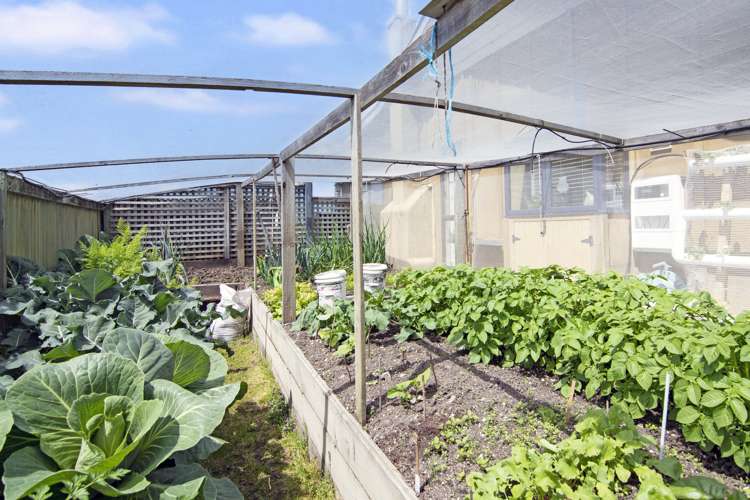 33 Trewavas Street Motueka_21