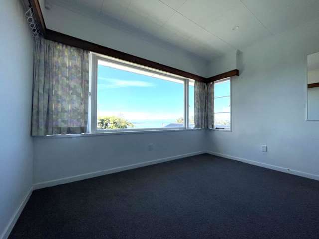 350 Hillsborough Road Mt Roskill_3