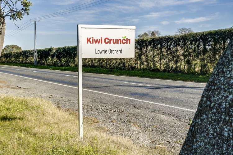 Kiwi Crunch Orchard Portfolio Twyford_31