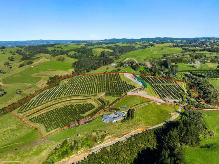 299b Whakamarama Road Whakamarama_5