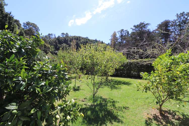 162 Tapu Coroglen Road Tapu_20