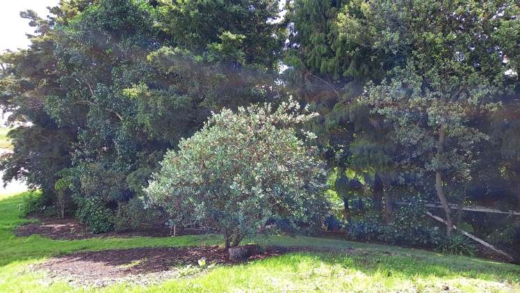 75b Woodcocks Road Warkworth_19