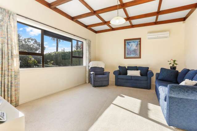 28 Henley Road Mount Eden_3