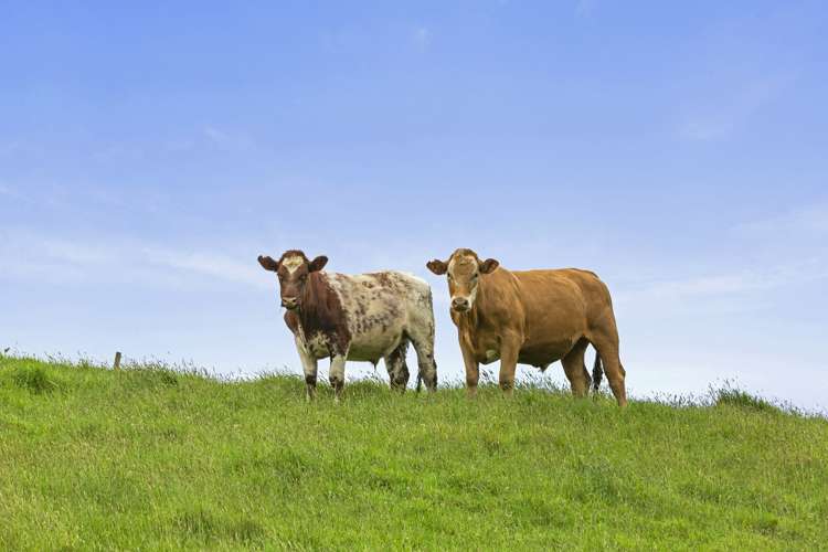 1061 Harbour Road Oparau_9