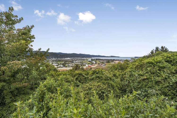 61 Harbour View Road Harbour View_19