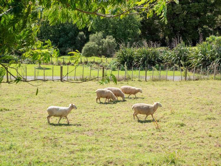 815 Waimate North Road Kerikeri_42