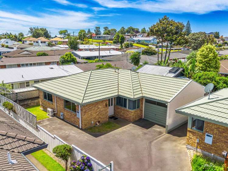 723C Cameron Road Tauranga South_18