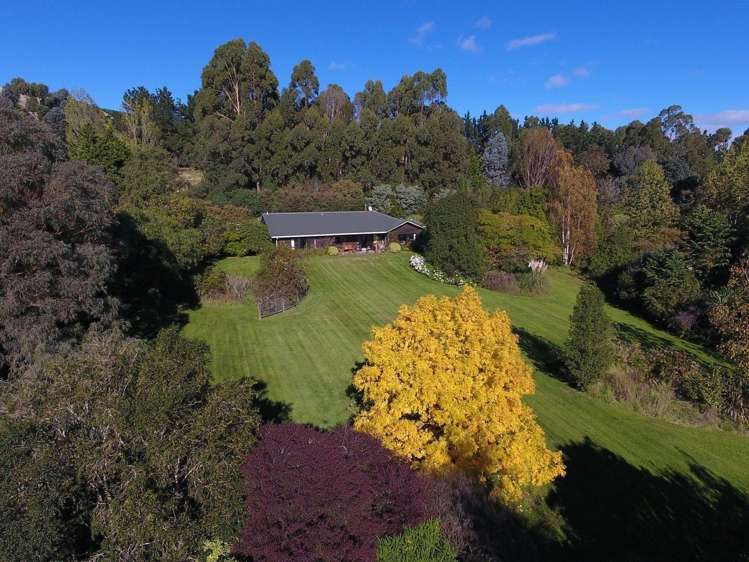 21 Sinclair Way Dyerville_1