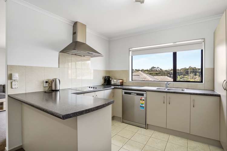 4 Exotic Place Massey_9