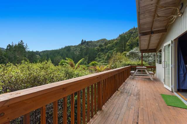 447 Takaputahi Road Opotiki Coastal_3