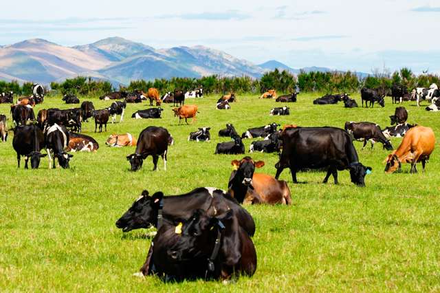 237 Otamita Road Knapdale_2