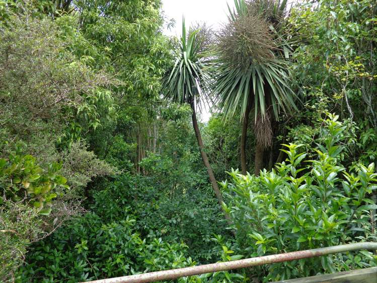 17 Rata Street Kaka Point_9